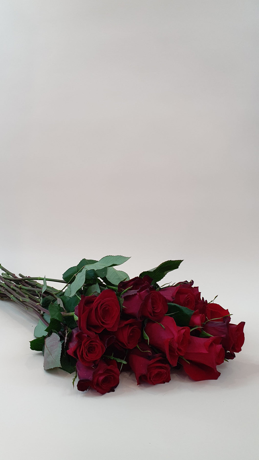 Bouquet of Roses - 6 Stems